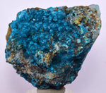 5.5cms QUARTZ CHRYSOCOLLA BOTRYOIDAL TENTADORA MINE PERU MINERAL SPECIMEN CB101