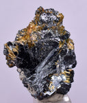 3.1cms GOLDEN RUTILE HEMATITE SPRAY NEEDLES CRYSTALS TITANIUM BAHIA BRAZIL  XB16
