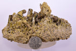 13ms CLINOZOISITE EPIDOTE CRYSTALS PERU MINERAL SPECIMEN COLLECTOR  KB60