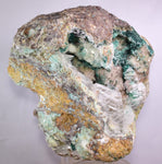14cms GEM ATACAMITE INSIDE SELENITE CRYSTAL LILY MINE 2000 DISCOVERY PERU AB183