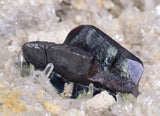 10.5cms HUBNERITE QUARTZ CRYSTALS MINERAL SPECIMEN COLLECTOR PERU MB113