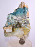 11ms DRUZY GEM SILICA CHRYSOCOLLA CHALCEDONY BOTRYOIDAL LILY MINE PERU DB95
