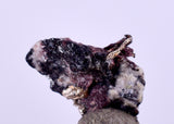 0.7cms NATIVE SILVER WIRE PERU UCHUCCHACUA MINE MINERAL SPECIMEN HB222