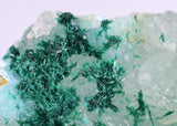 6cms ATACAMITE DRUZY CHRYSOCOLLA  STALACTITE LILY MINE PERU MINERAL AB43
