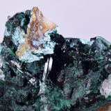 5.6cms ATACAMITE DRUZY MALCHITE CHRYSOCOLLA LILY MINE PERU MINERAL AB88