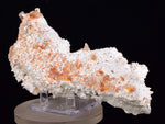 16.5cms LIMONITE IN SELENITE CRYSTAL COLLECTOR PERU MINERAL SPECIMEN TB128