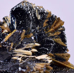 2.5cms GOLDEN RUTILE HEMATITE SPRAY NEEDLES CRYSTALS TITANIUM BAHIA BRAZIL  XB08