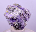 4.6cms COQUIMBITE ALUNOGEN CRYSTAL ROMERITE COPIATITE MINERAL SPECIMEN UB253