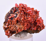 4.2cm VANADINITE HOLLANDITE CRYSTAL MIBLADEN MOROCCO  MINERAL SPECIMEN WB32