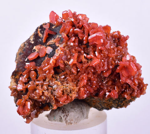 4.2cm VANADINITE HOLLANDITE CRYSTAL MIBLADEN MOROCCO  MINERAL SPECIMEN WB32