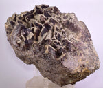 16cms PREMIUM AXINITE QUARTZ CRYSTALS PERU AESTHETIC COLLECTOR AB219