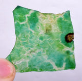 6.5grs GEM SILICA CHRYSOCOLLA SLAB PERU CHALCEDONY QUARTZ BLUE ROUGH SB70