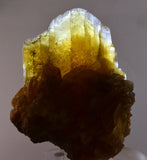 11.5cms GOLDEN SELENITE CRYSTAL PERU FISH TAIL SUISEKI TRANSLUCENT TB127
