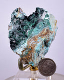 5.6cms ATACAMITE DRUZY MALCHITE CHRYSOCOLLA LILY MINE PERU MINERAL AB88