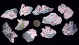 LOT 10 RHODOCHROSITE ROSETTE PERU PINK CRYSTALS HUANZALA MINE MINERAL RB582