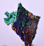 4cms AZURITE MALACHITE CRYSTALS MINERAL SPECIMEN AHOULI MINES MOROCCO UB219