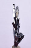 5.2cms STIBNITE CRYSTAL PERU MINERAL SPECIMEN COLLECTOR MB94