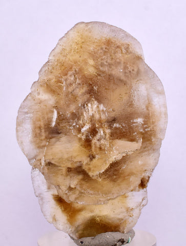 4.5 cms DESERT ROSE SELENITE CRYSTAL PERU GOLDEN SUISEKI TRANSLUCENT TB97