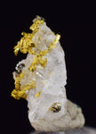 0.6 cms UNIQUE NATIVE GOLD INCAS PYRITE CUBES PERU QUARTZ CRYSTALS LB125