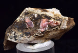 4.8cm RHODOCHROSITE CRYSTALS PERU OLD STOCK UCHUCCHACUA MINERAL SPECIMEN RB605