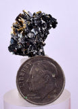 1.8cms GOLDEN RUTILE HEMATITE SPRAY NEEDLES CRYSTALS TITANIUM BAHIA BRAZIL  XB05