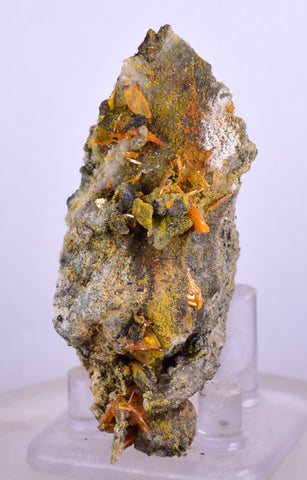 6.3cms GEM RARE WULFENITE MINI CRYSTALS ALAMO ARIZONA USA YB36