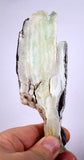 145grs GEM NATURAL SCULPTURE CACTUS SLAB STRONTIANITE ARAGONITE PERU SCENIC CB93