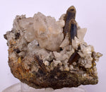 10.5cms CALCITE TOOTH DOG WITH QUARTZ CRYSTALS PERU SHINY MINERAL SPECIMEN GB17