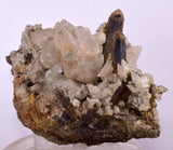 10.5cms CALCITE TOOTH DOG WITH QUARTZ CRYSTALS PERU SHINY MINERAL SPECIMEN GB17