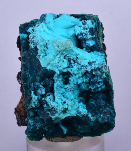 3cm GEM BLUE MALACHITE CHRYSOCOLLA PERU ROSETTE BOTRYOIDAL CRYSTAL GRAPE  UB187