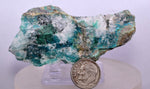 7.8cms DRUZY CHRYSOCOLLA ATACAMITE MALACHITE QUARTZ CRYSTALS LILY MINE PERU DB62