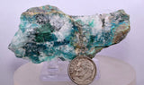 7.8cms DRUZY CHRYSOCOLLA ATACAMITE MALACHITE QUARTZ CRYSTALS LILY MINE PERU DB62