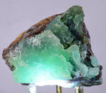 5.1cms DRUZY CHRYSOCOLLA QUARTZ LILY MINE PERU COPPER 2000 DISCOVERY DB09