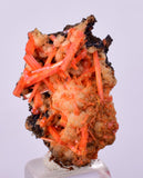 2.2cms GEM RED CROCOITE CRYSTALS CLUSTER MATRIX ADELAIDE MINE AUSTRALIA ZB39