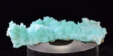 3.4cm SHATTUCKITE ON SELENITE PICKERINGITE CRYSTALS COLOR PERU CHRYSOCOLLA TB70