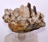 10.5cms CALCITE TOOTH DOG WITH QUARTZ CRYSTALS PERU SHINY MINERAL SPECIMEN GB17