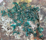 14.5cms DIOPTASE CRYSTALS PERU QUARTZ CHRYSOCOLLA MINERAL SPECIMEN KB41