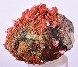 4.2cm VANADINITE HOLLANDITE CRYSTAL MIBLADEN MOROCCO  MINERAL SPECIMEN WB32