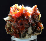 3.6cm VANADINITE CRYSTAL BARITE MIBLADEN MOROCCO MINIATURE MINERAL SPECIMEN WB21