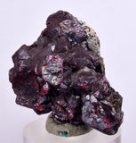 3.2cms PROUSTITE RED RUBY SILVER PERU UCHUCCHACUA MINE MINERAL SPECIMEN HB121