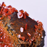 6cm VANADINITE HOLLANDITE CRYSTAL MIBLADEN MOROCCO  MINERAL SPECIMEN WB34