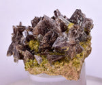 3.7cms PREMIUM AXINITE QUARTZ CRYSTALS PERU AESTHETIC COLLECTOR AB191