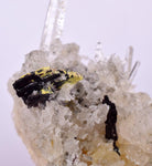 6.4cms HUBNERITE QUARTZ CRYSTALS MINERAL SPECIMEN COLLECTOR PERU MB69