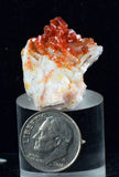 2.4cm VANADINITE CRYSTAL BARITE MIBLADEN MOROCCO MINIATURE MINERAL SPECIMEN WB08