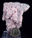 6.3cms RHODOCHROSITE ROSETTE PERU PINK CRYSTALS HUANZALA MINE MINERAL RB546