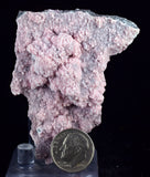 6.3cms RHODOCHROSITE ROSETTE PERU PINK CRYSTALS HUANZALA MINE MINERAL RB546