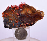 6cm VANADINITE HOLLANDITE CRYSTAL MIBLADEN MOROCCO  MINERAL SPECIMEN WB34