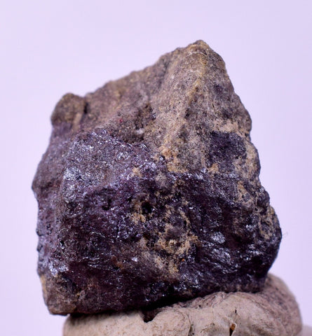1.6cms PROUSTITE PYRARGIRITE RUBY SILVER PERU UCHUCCHACUA MINE HB278
