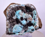 5.9cms DRUZY CHRYSOCOLLA QUARTZ LILY MINE PERU COPPER 2000 DISCOVERY DB32