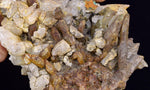 14cms CALCITE TOOTH DOG WITH QUARTZ CRYSTALS PERU SHINY MINERAL SPECIMEN GB47